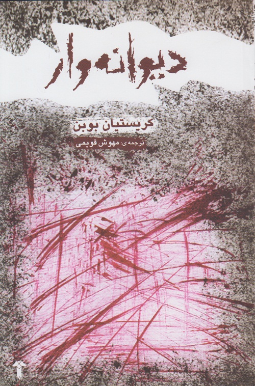 دیوانه وار