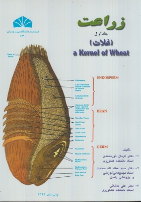 زراعت ( جلد اول ) غلات