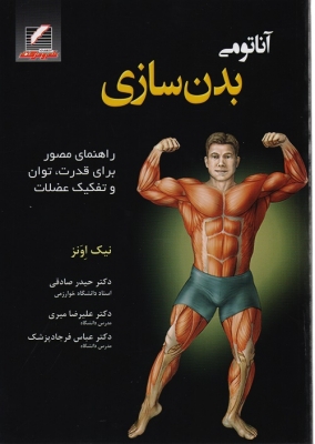 آناتومی بدن سازی
