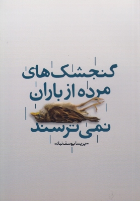 گنجشک های مرده از باران نمی ترسند