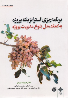 برنامه ریزی استراتژیک پروژه(به کمک مدل بلوغ مدیریت پروژه )