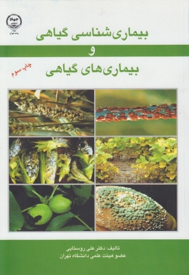 بیماری شناسی گیاهی و بیماری های گیاهی