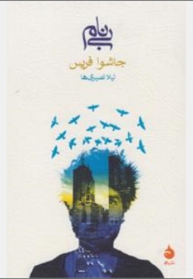 شیمی فیزیک پلیمرها