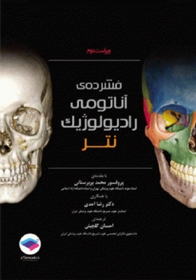 آناتومی رادیولوژیک نتر