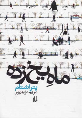 ماه یخ زده