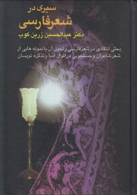 سیری در شعر فارسی