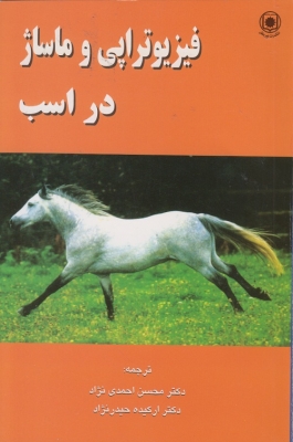 فیزیوتراپی و ماساژ در اسب