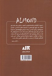 بادام 
