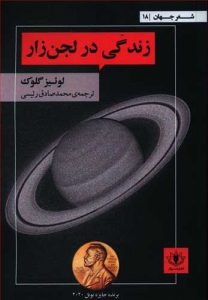 زندگی در لجن زار