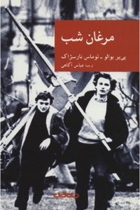 مرغان شب 