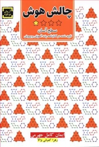 چالش هوش سطح آسان