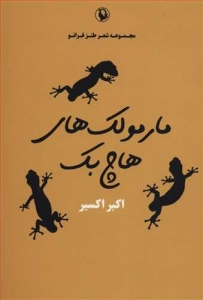 مارمولک های هاچ بک