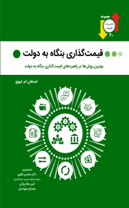 قیمت گذاری بنگاه به دولت 