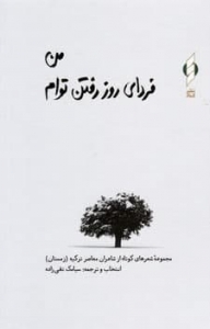 من فردای روز رفتن توام 