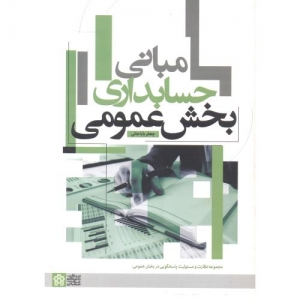 مبانی حسابداری بخش عمومی