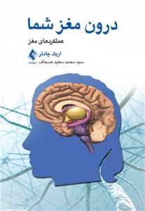 درون مغز شما