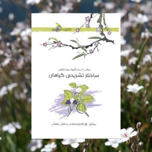 ساختار تشریحی گیاهان خوشخوان