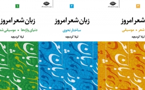 زبان شعر امروز (3 جلدی)