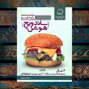 ساندویچ هوش نهم علامه حلی