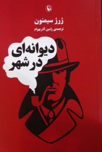 دیوانه ای در شهر