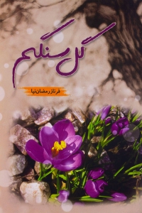 گل سنگم