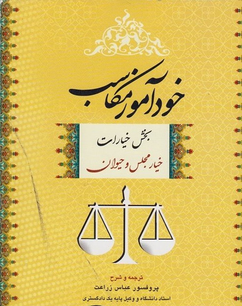 خودآموز مکاسب ( بخش خیارات )