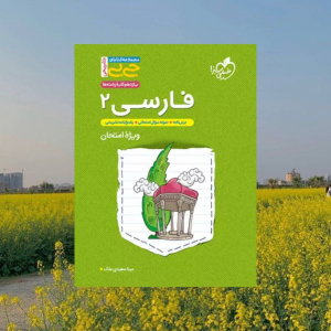 جیبی فارسی یازدهم تشریحی خیلی سبز